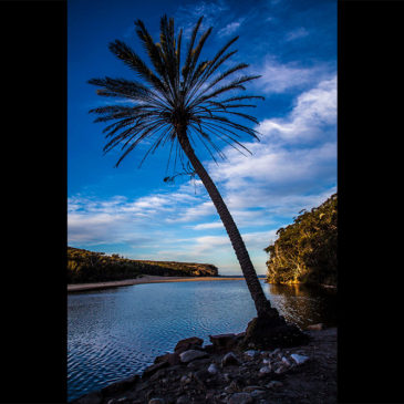 Wattamolla Beach – Royal National Park NSW, Australia