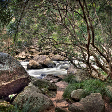 Bents Basin, NSW, Australia – Nepean River