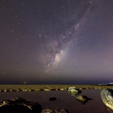 Turrimetta Beach, NSW, Australia