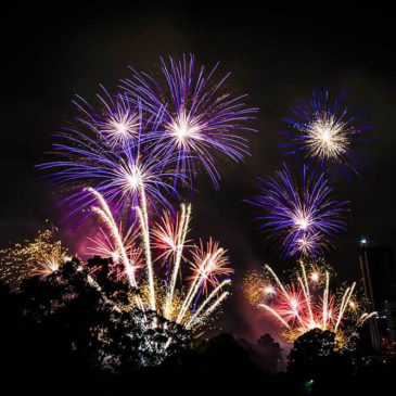 Happy New Year – Parramatta Park, NSW, Australia