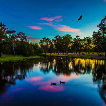 Parramatta Park, NSW, Australia