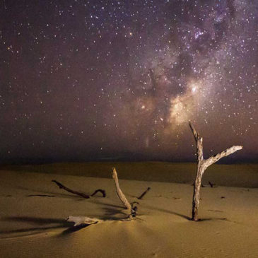 Stokton Sand Dunes, NSW, Australia