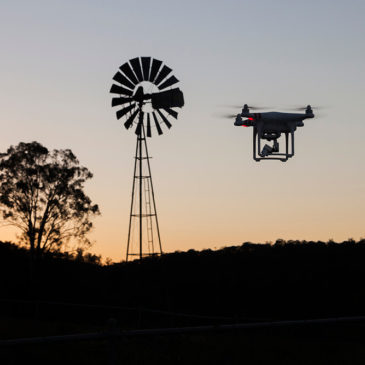 Near Bents Basin, NSW, Australia