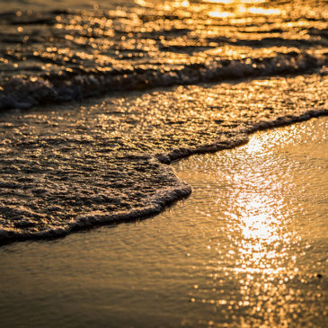 Sunset by the Beach