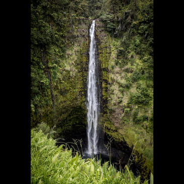 Akaka Falls – Hawaii Island