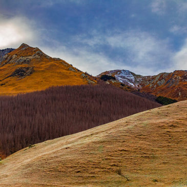 Near Lake Moke – New Zealand